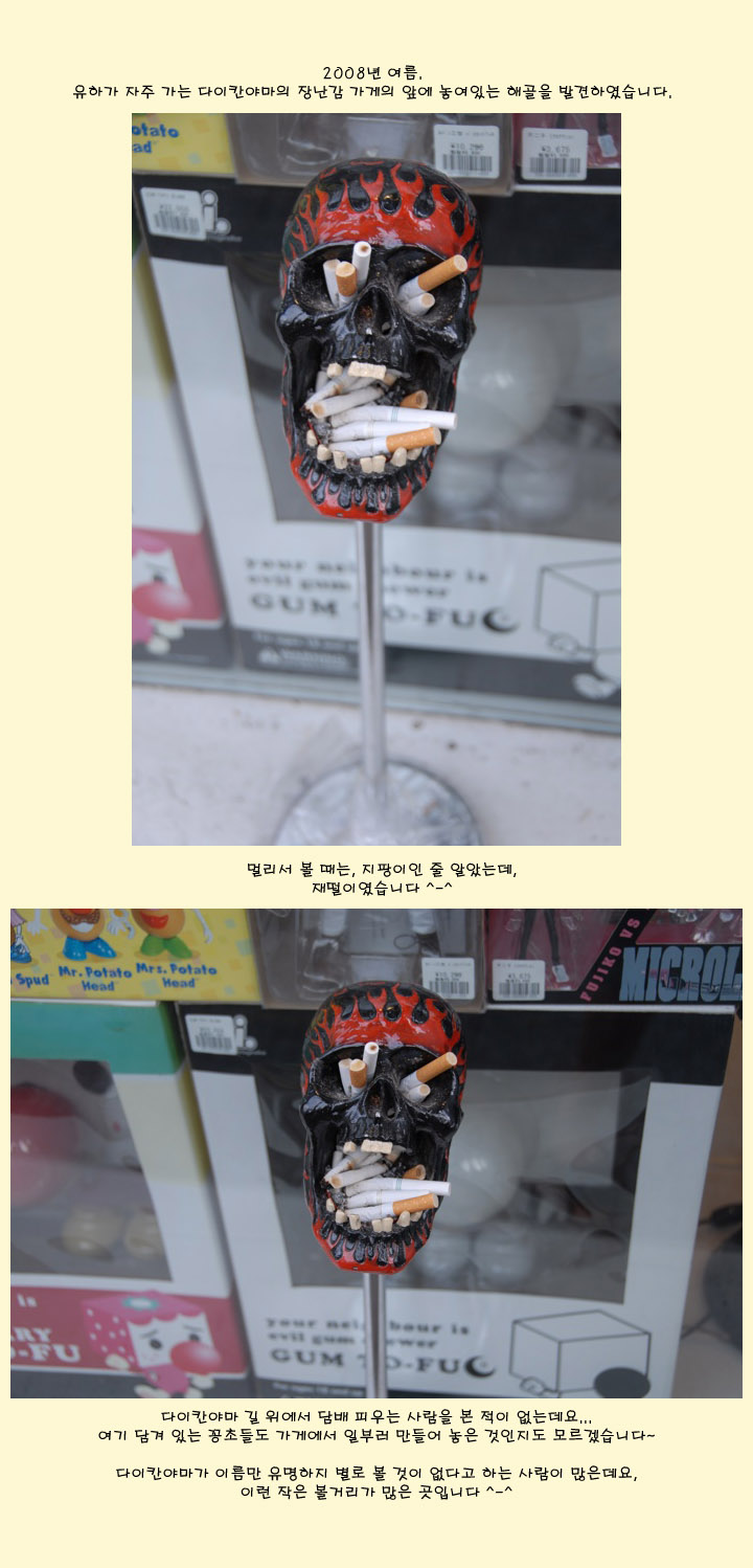 [�Ϻ���] ����ĭ�߸����� �� �ذ� �綳��